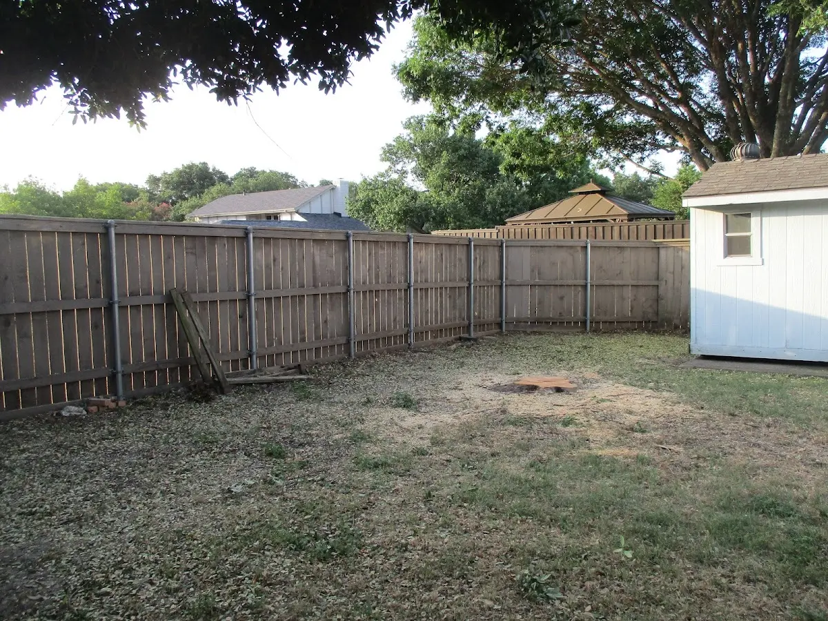 Cleared yard after professional tree removal in Saint Marys